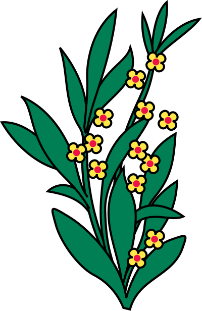 Flower59