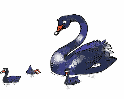 swan black