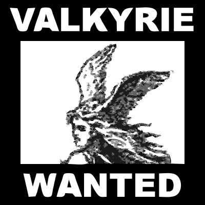 Character 15 VALKYRIE