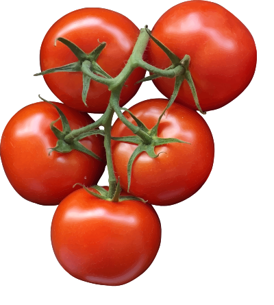 Tomatoes