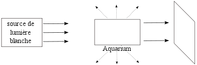 diffusion