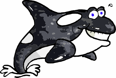 orca2