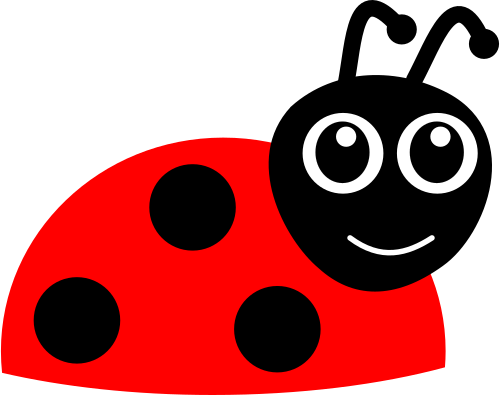 ladybug coccinelle