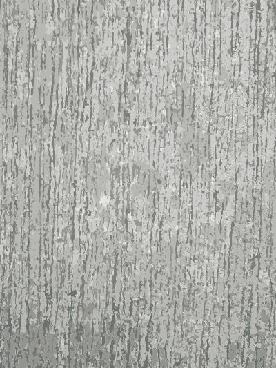 Concrete texture