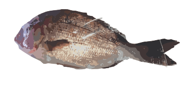fishasfood