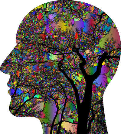 house divided polyprismatic