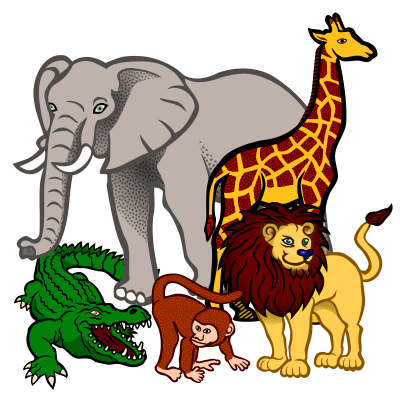 Tiere colored