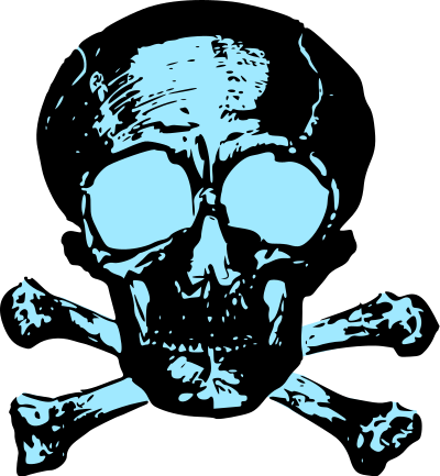 skull crossbones 0
