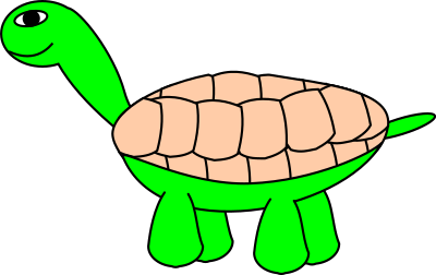 tortoise 1