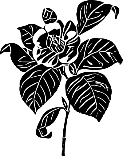 abflower