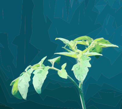greensprout
