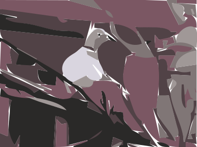lovey the dove pigeon