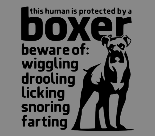 boxer   warning