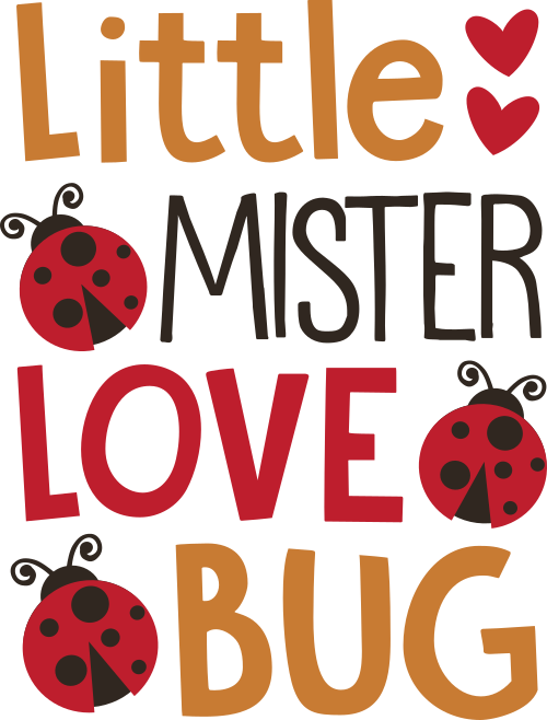 little mister love bug