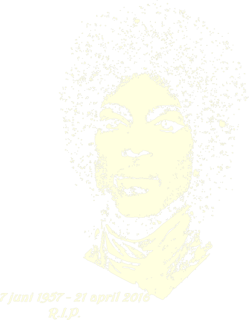 prince 7