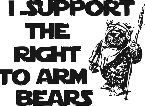 I support the right to arm bears
