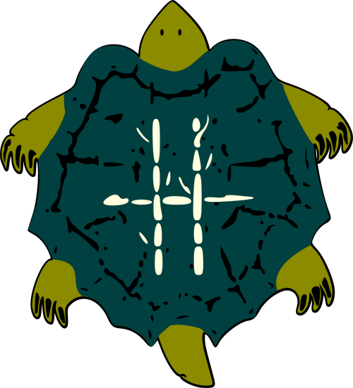 turtle