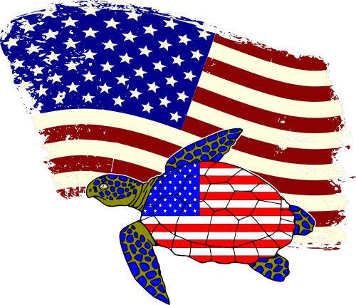 turtle with flag