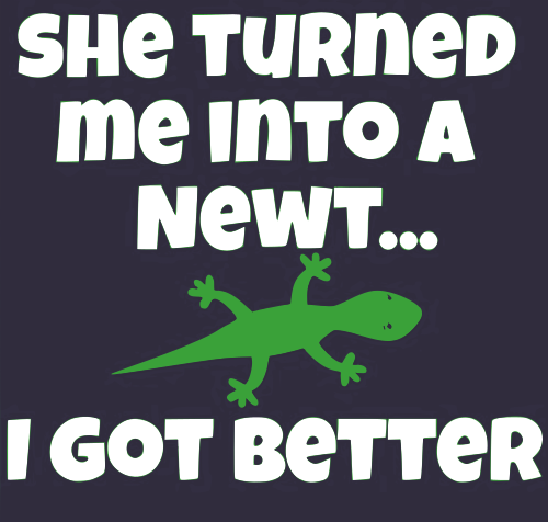 she turned me into a newt I got better