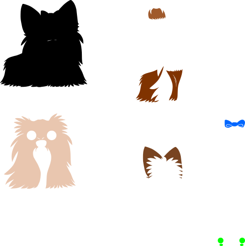 yorkie