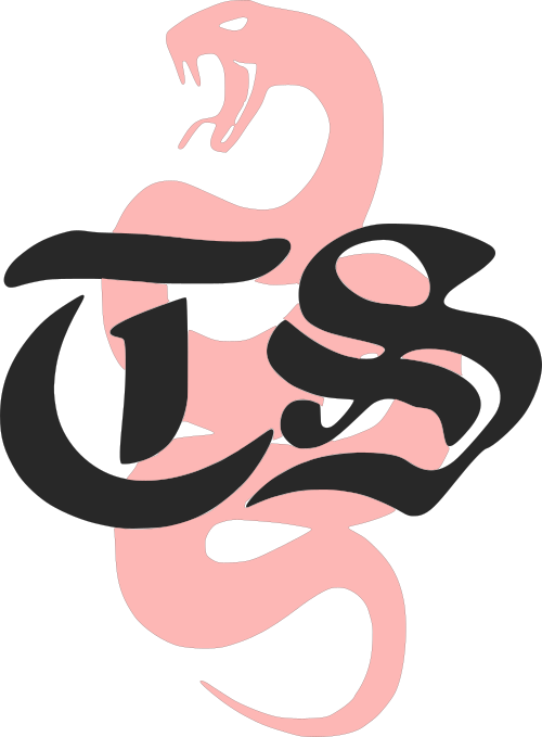 taylor swift design