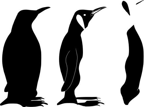 emperor penguin