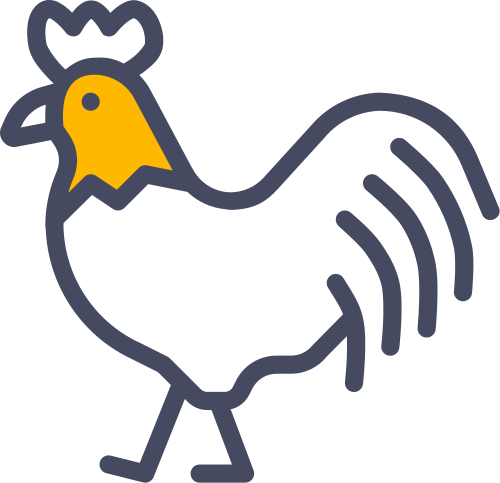 rooster cock