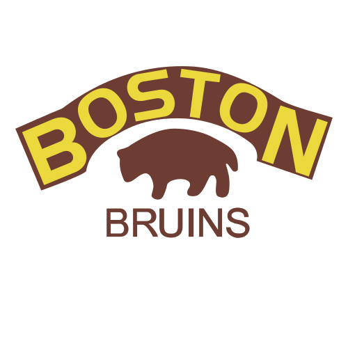 boston bruins