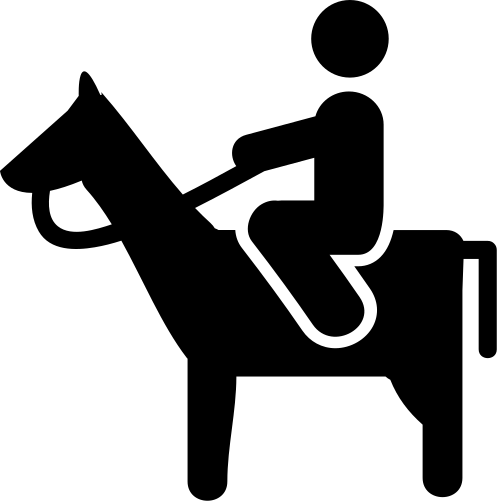 man riding a horse