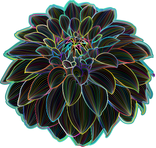 prismatic dahlia