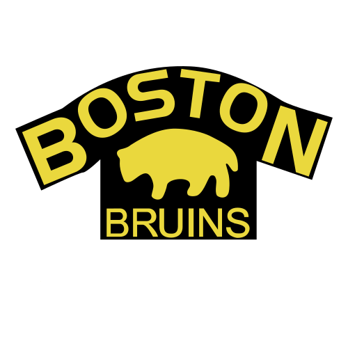 boston bruins