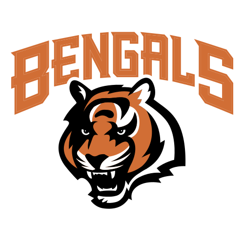 cinncinati bengals 1