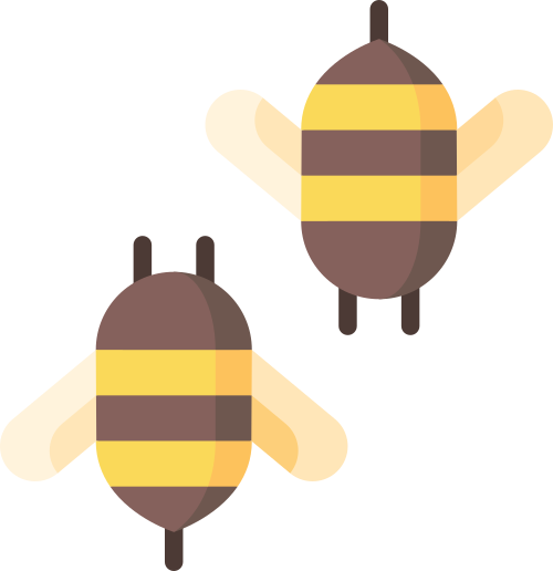 bees bee