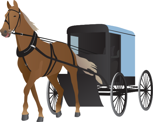 Amish Horse Buggy