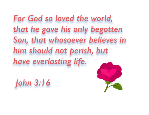 John 3 16