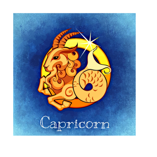 Capricorn Drawing 2