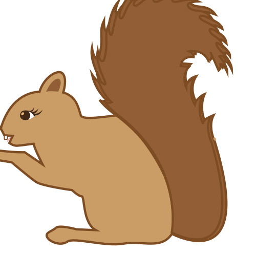 squirrel