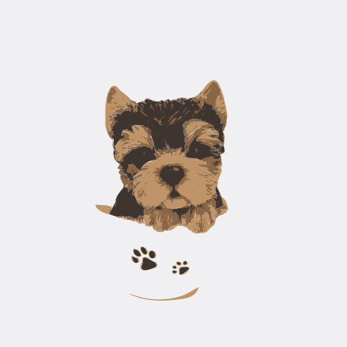 yorkshire terrier 4 colors