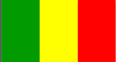 Flag of Mali 2016081215