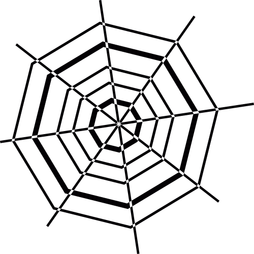 octagonal spider web