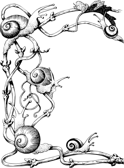 snail frame