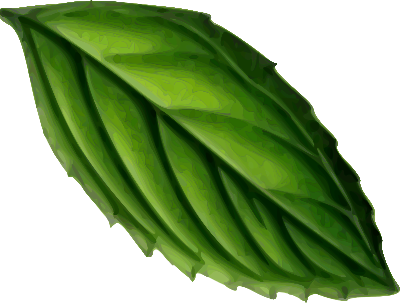 mintleafangle1