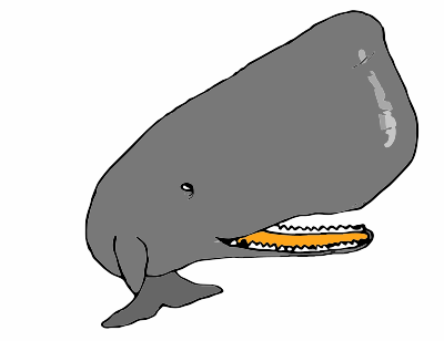 whale