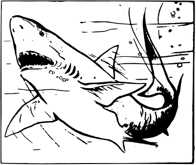 classic cartoon shark