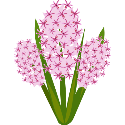 flower44