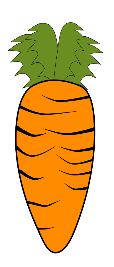 carrot