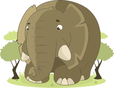 elephant