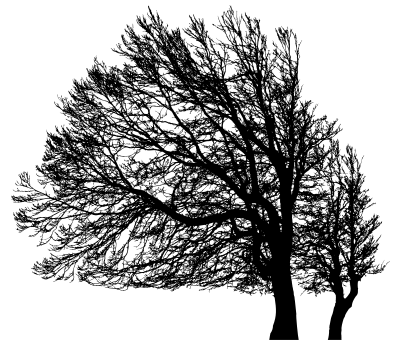 1555189949