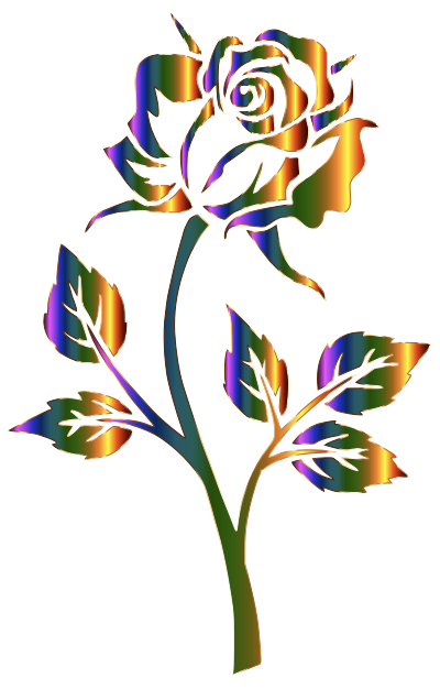 Chromatic Rose Silhouette No Background