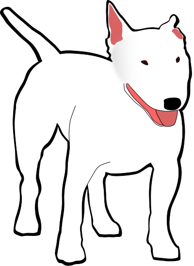 bull terrier 1